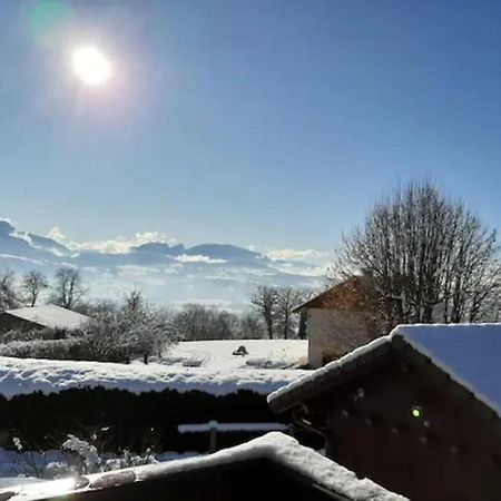 5 Min Des Pistes De Ski Grand Studio Mezzanine Viuz-en-Sallaz Esterno foto